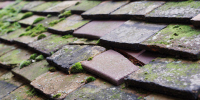 Polegate roof repair costs